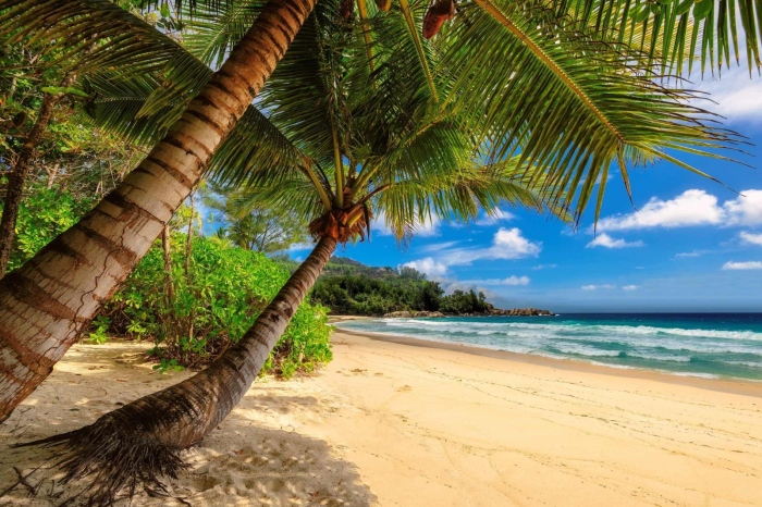 Слънчеви Кариби 2024 с MSC Seaside